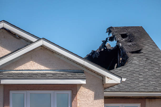 Top rated local Odor Removal specialists in Apopka, FL